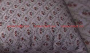 【欧美SLG/汉化/动态】探索大苹果Ep.2汉化版【PC+安卓/491MB/更新】