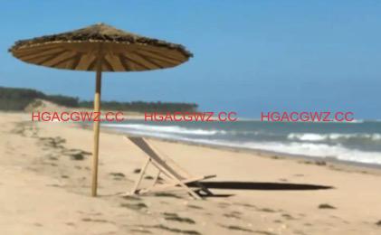 【欧美SLG/汉化/动态】我们是裸体主义者Ep. 2汉化版【PC+安卓/648MB/更新】