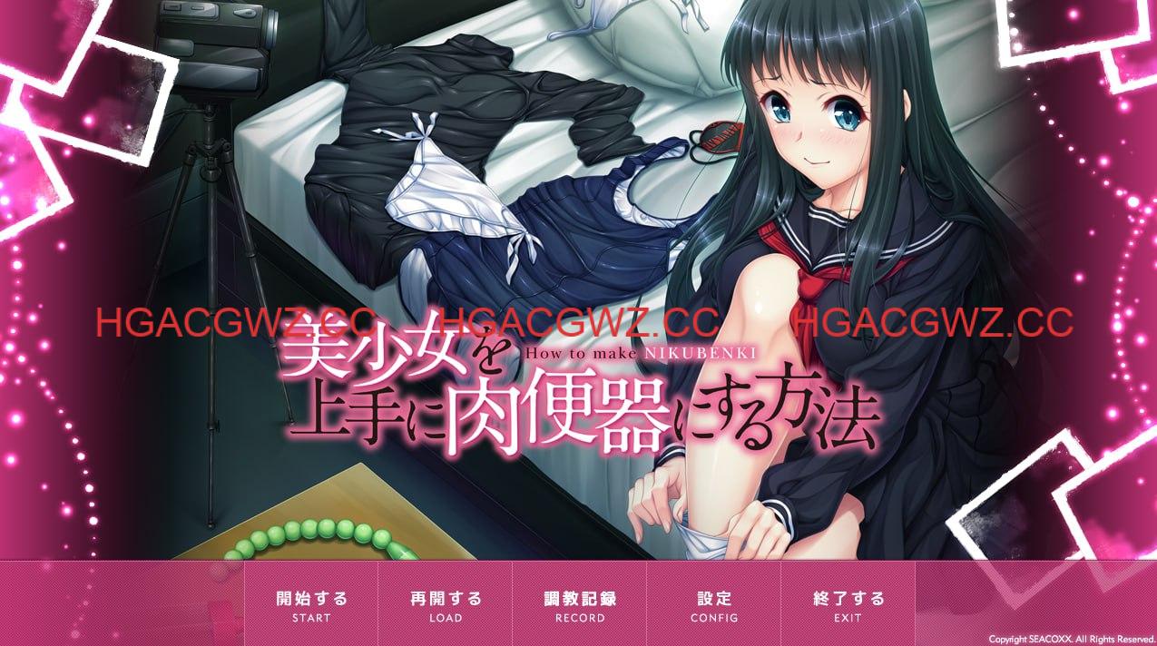 【ADV/AI汉化/全CG存档】将美少女调教成肉便器的方法 vol.1【PC/600M】