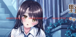 【SLG/AI汉化/MTool/CV】与流浪猫少女的生活 CAT Girl Sweet Days【PC/1.7G】