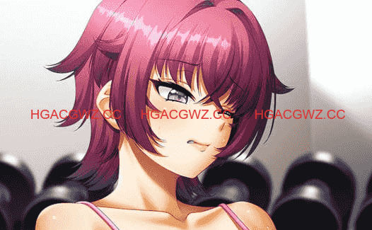 【ADV/AI汉化/CV】奴隶制服【PC/4.1G】