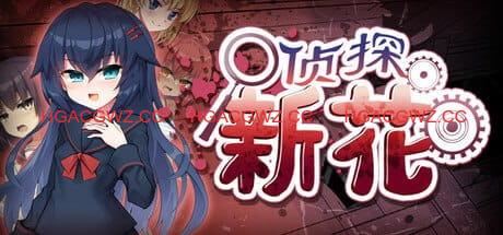 【ADV/中文/CV/NTR】侦探新花：诅咒的驱魔师steam官方中文版【PC/1.8G】