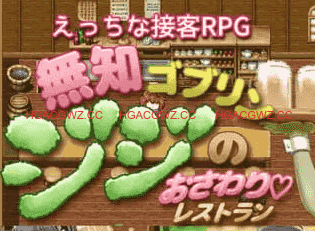 【RPG/AI汉化/MTool】无脑哥布林吉吉的触摸餐厅【电脑/1.4G】